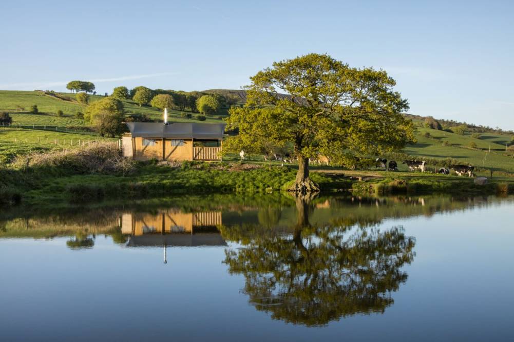 Safari tent glamping accommodation beautifully reflected in a calm pond alongside a large mature tree and rolling green hills