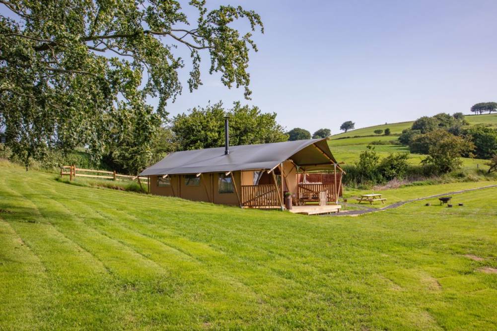 Safari tent glamping pitch nestled in a green valley under the shade of a large tree with scenic rolling hills behind.